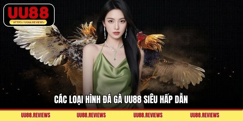 Các loại hình đá gà UU88 siêu hấp dẫn