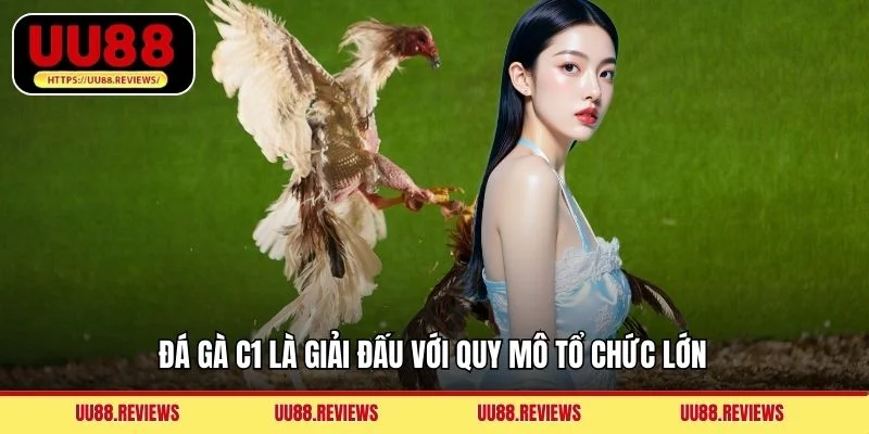 Đá gà C1 là giải đấu với quy mô tổ chức lớn