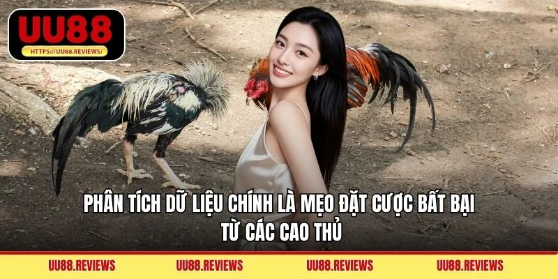 Phân tích dữ liệu chính là mẹo đặt cược bất bại từ các cao thủ
